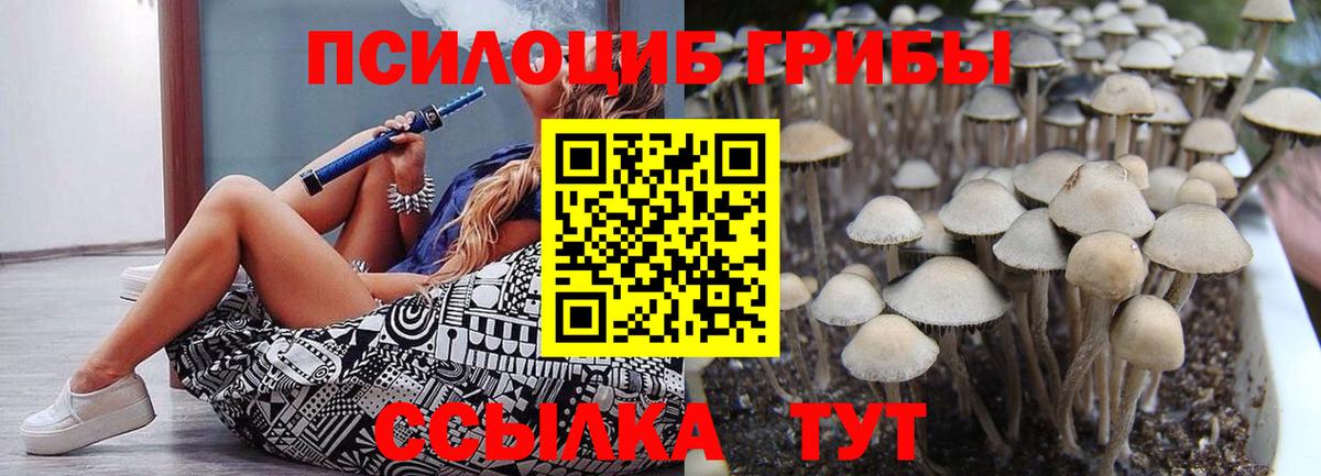 Отрадное  Галлюциногенные грибы Magic Shrooms  Вход с VPN 