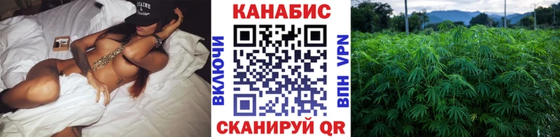 даркнет сайт  Отрадное  Бошки Шишки OG Kush 